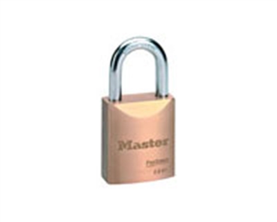 Master Lock Company - 6841WO