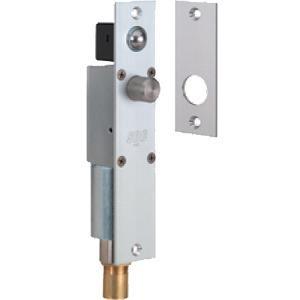 SDC / Security Door Controls - 2090AUB