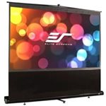 Elite Screens - F100NWV