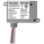  RIB02BDC-Functional Devices 