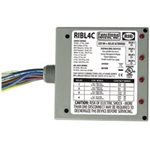  RIBL4C-Functional Devices 